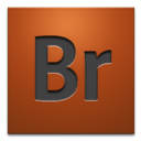 Adobe Bridge CS4 icon